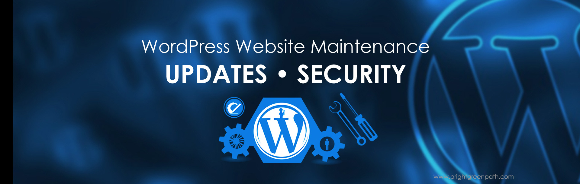 Florida WordPress Website Maintenance Services