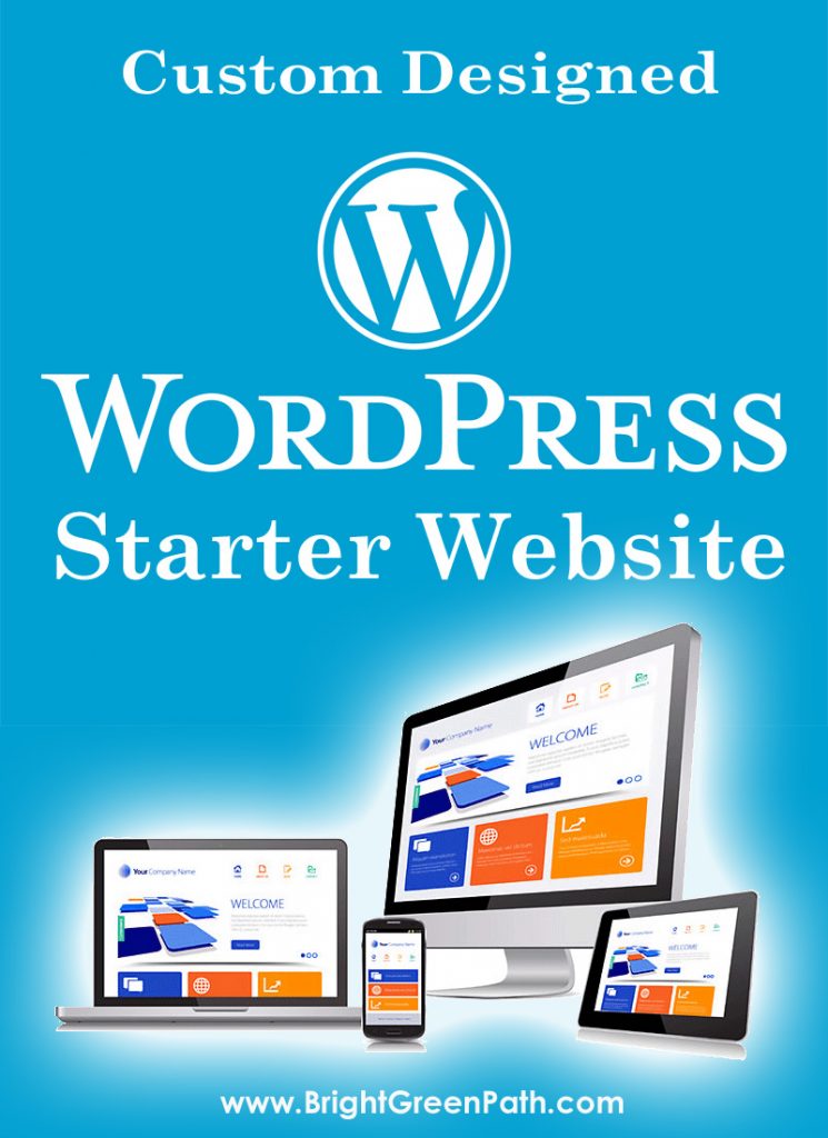 Florida Custom WordPress Web Design Starter Package