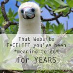 That Website Facelift You've Been Meaning to Do for Years